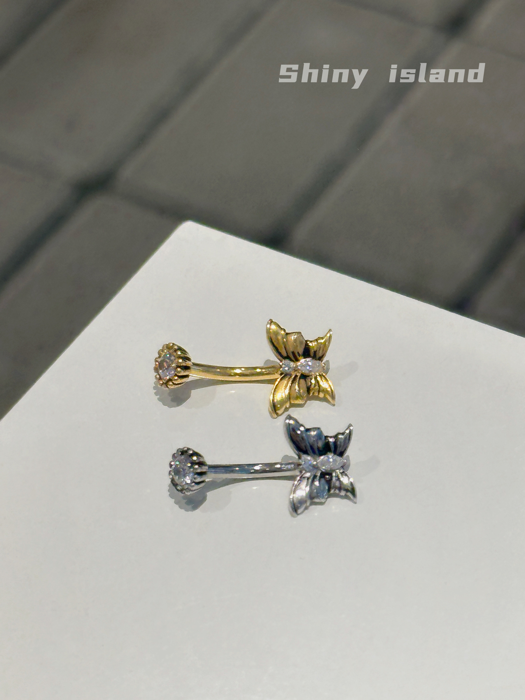 image_4F925360-5C87-4AEA-B207-31B8DB0FFB51_1765180695