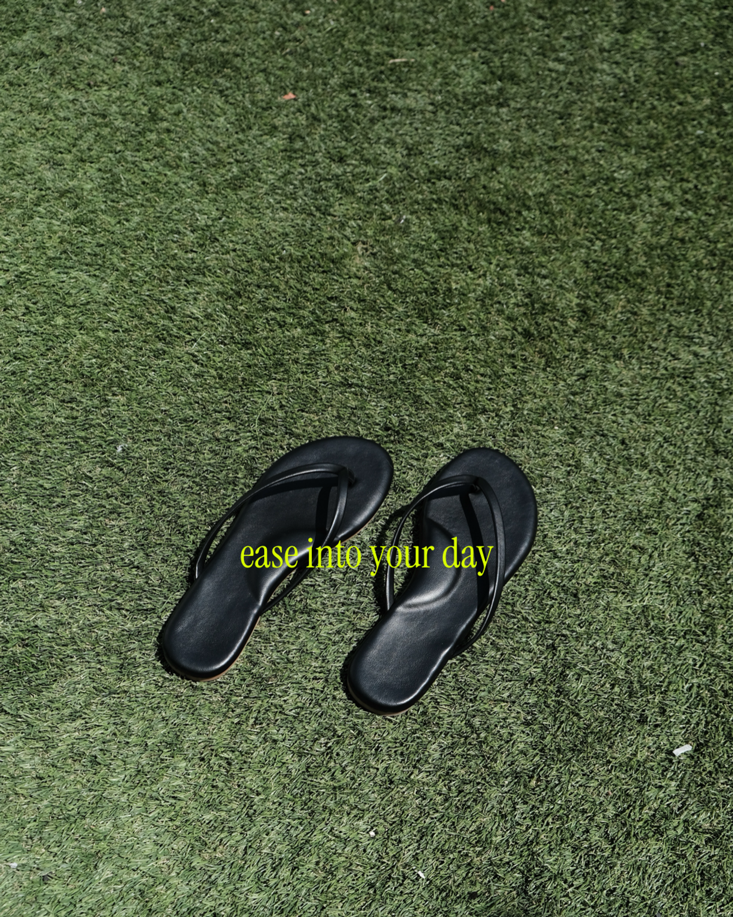 https://cdn.store-assets.com/s/333751/f/17553943.png
