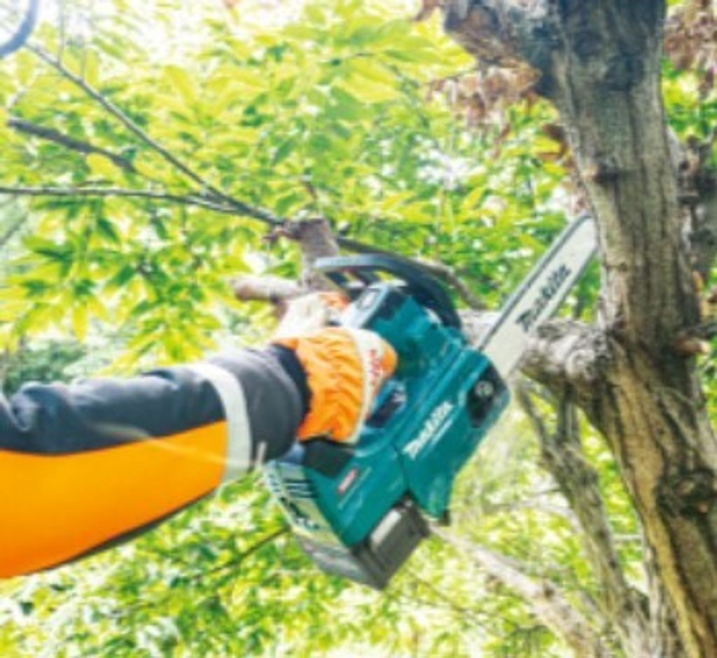 Screenshot 2025-12-08 093045