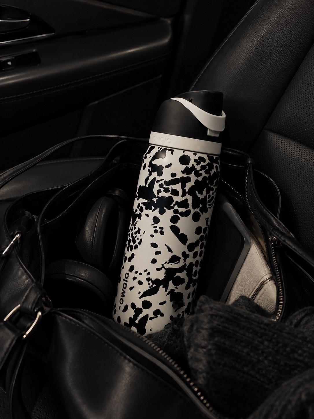 S__120619067
