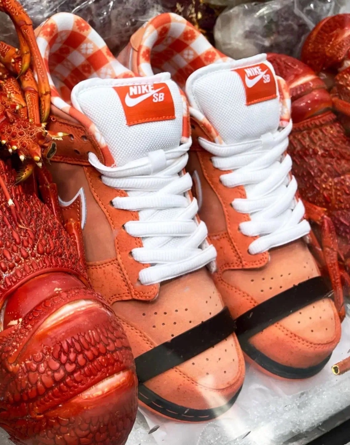 Nike Dunk Low SB x Concepts Orange Lobster – MiffyUSA米菲美國