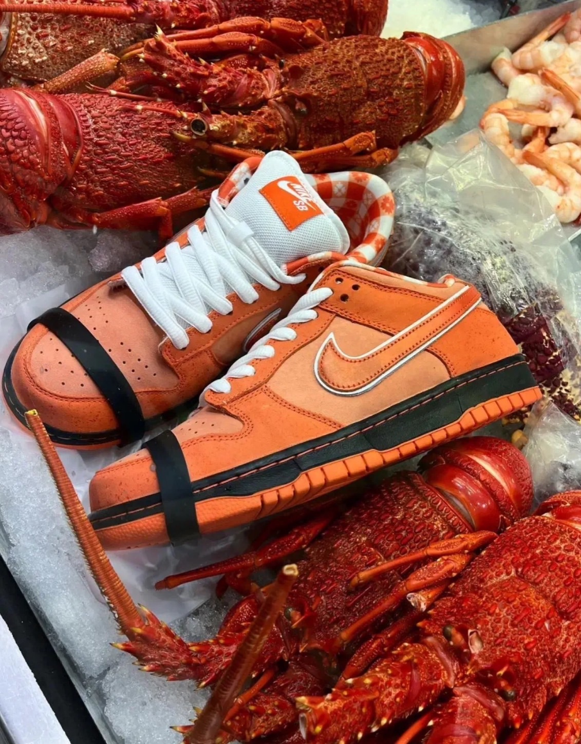 Nike Dunk Low SB x Concepts Orange Lobster – MiffyUSA米菲美國