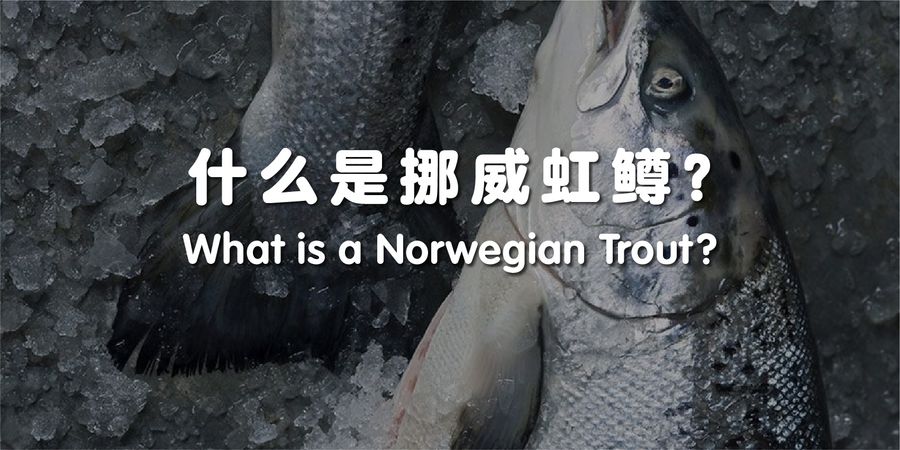 SEA FOOD MART |  - 