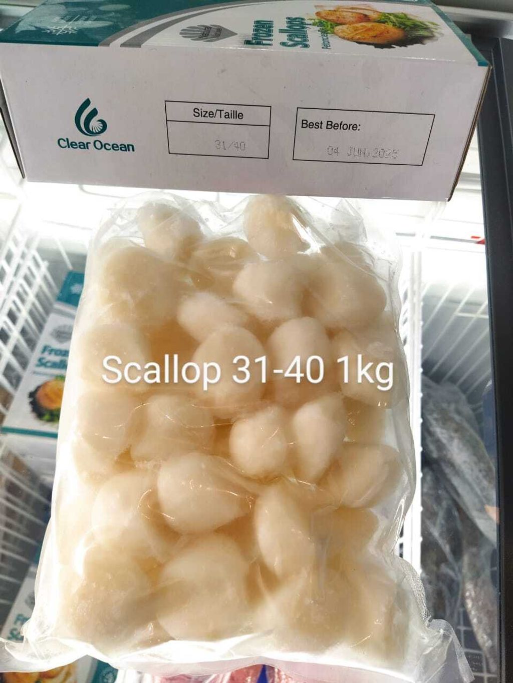 SCALLOP Clear Ocean 31-40  1kg 带子