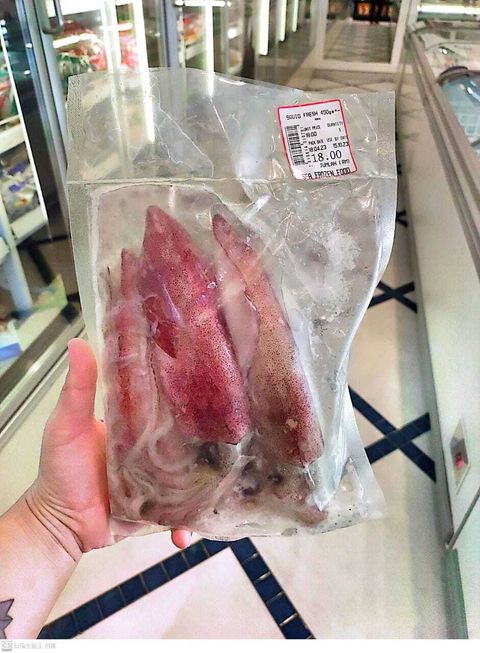 fresh squid 450gm+-