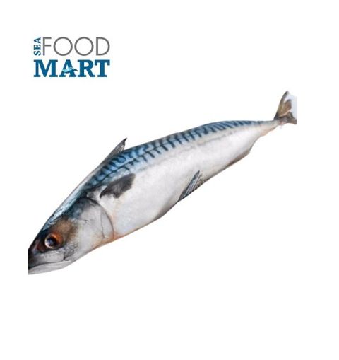 fish saba whole