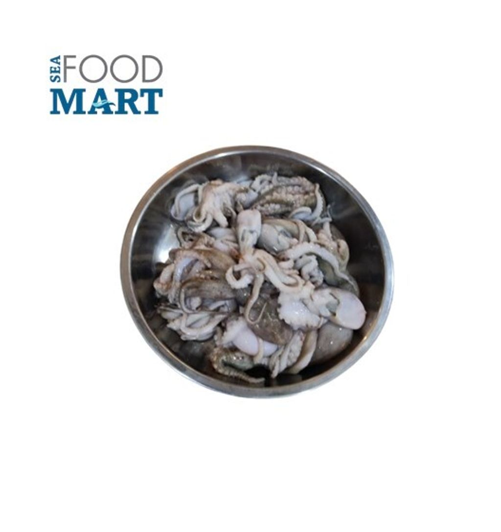 Octopus Small 小章鱼 1kg（nett 700gm+-)