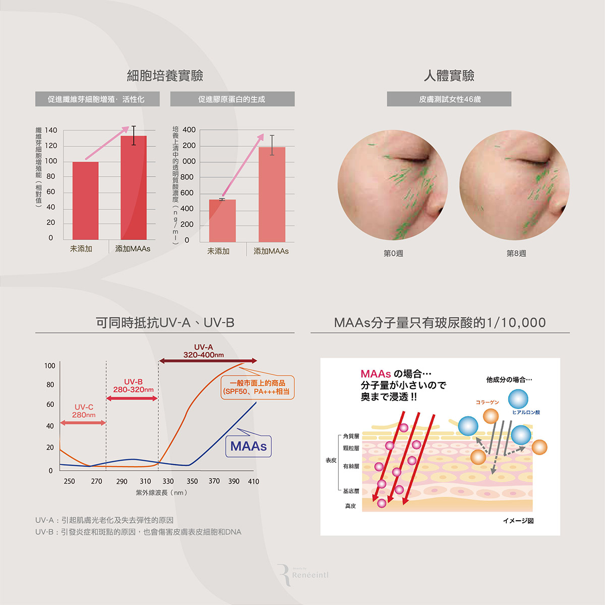 Reneeintl-MAAs-蕊內國際-高校導入精華 1.jpg