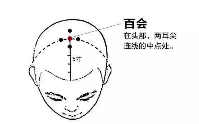 百会穴