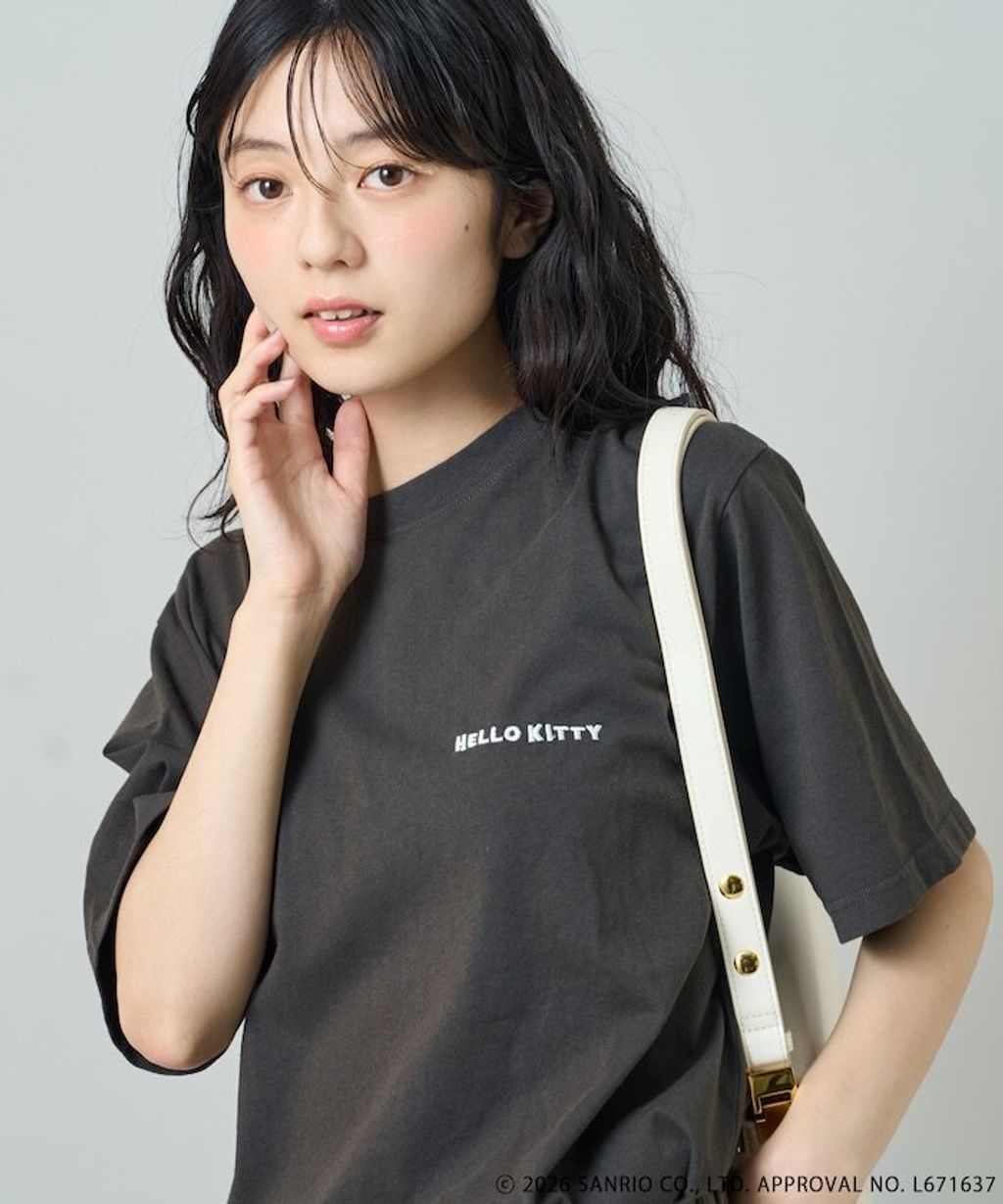 item6a5589e4753d1