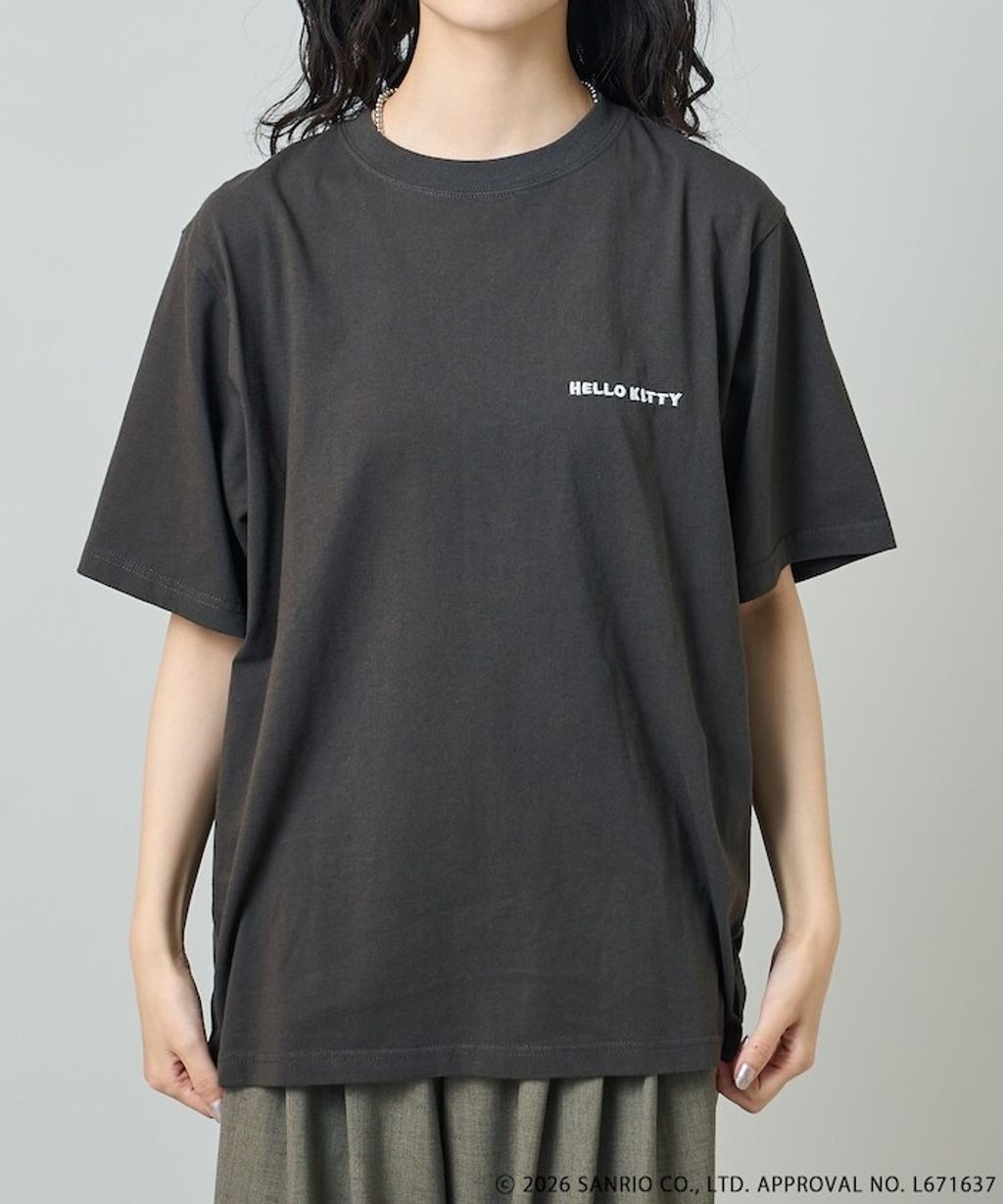 item6a5589e3e742c
