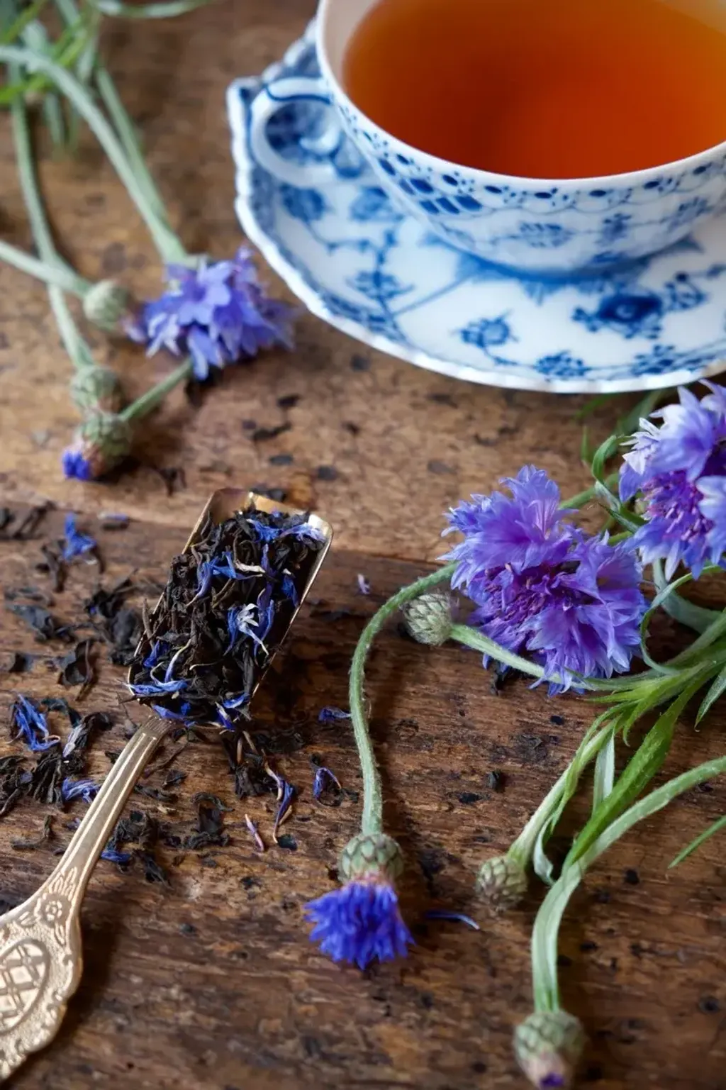 image_3333_earlgreybluebird_hottea2