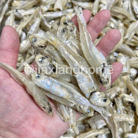 image_962465CD-E561-454D-9F74-C32691C1BE5C_1769057197