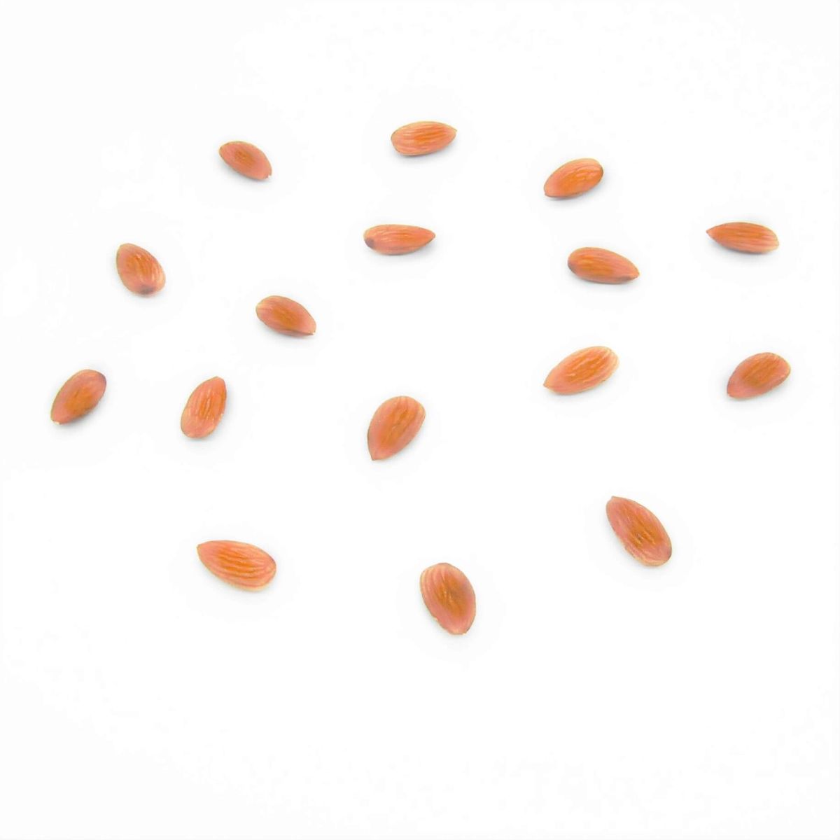 你吃的杏仁是真杏仁還是偽杏仁？堅果界超營養的杏仁果又是哪一種杏仁？