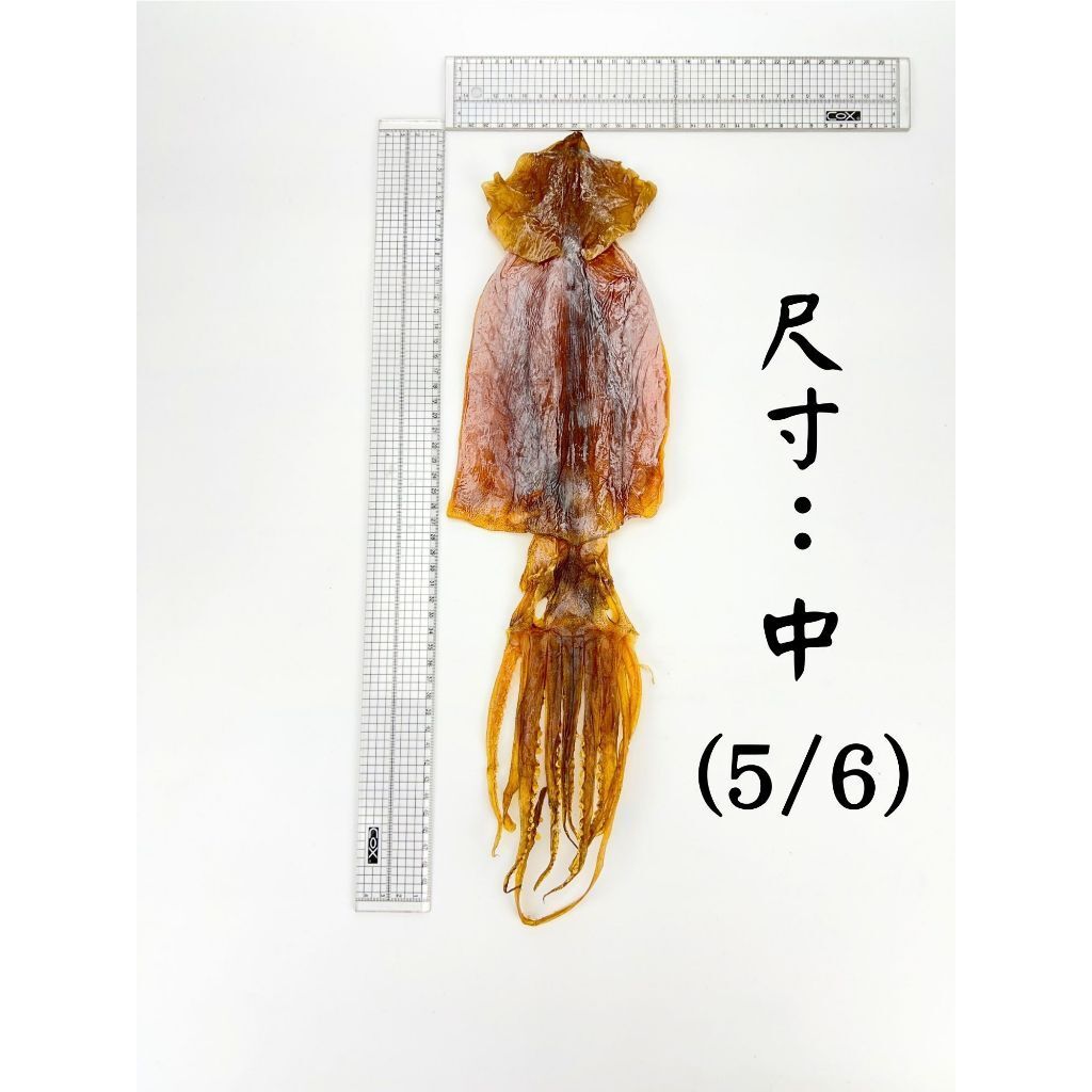 tw-11134207-7r98z-lzeddefoxyic13