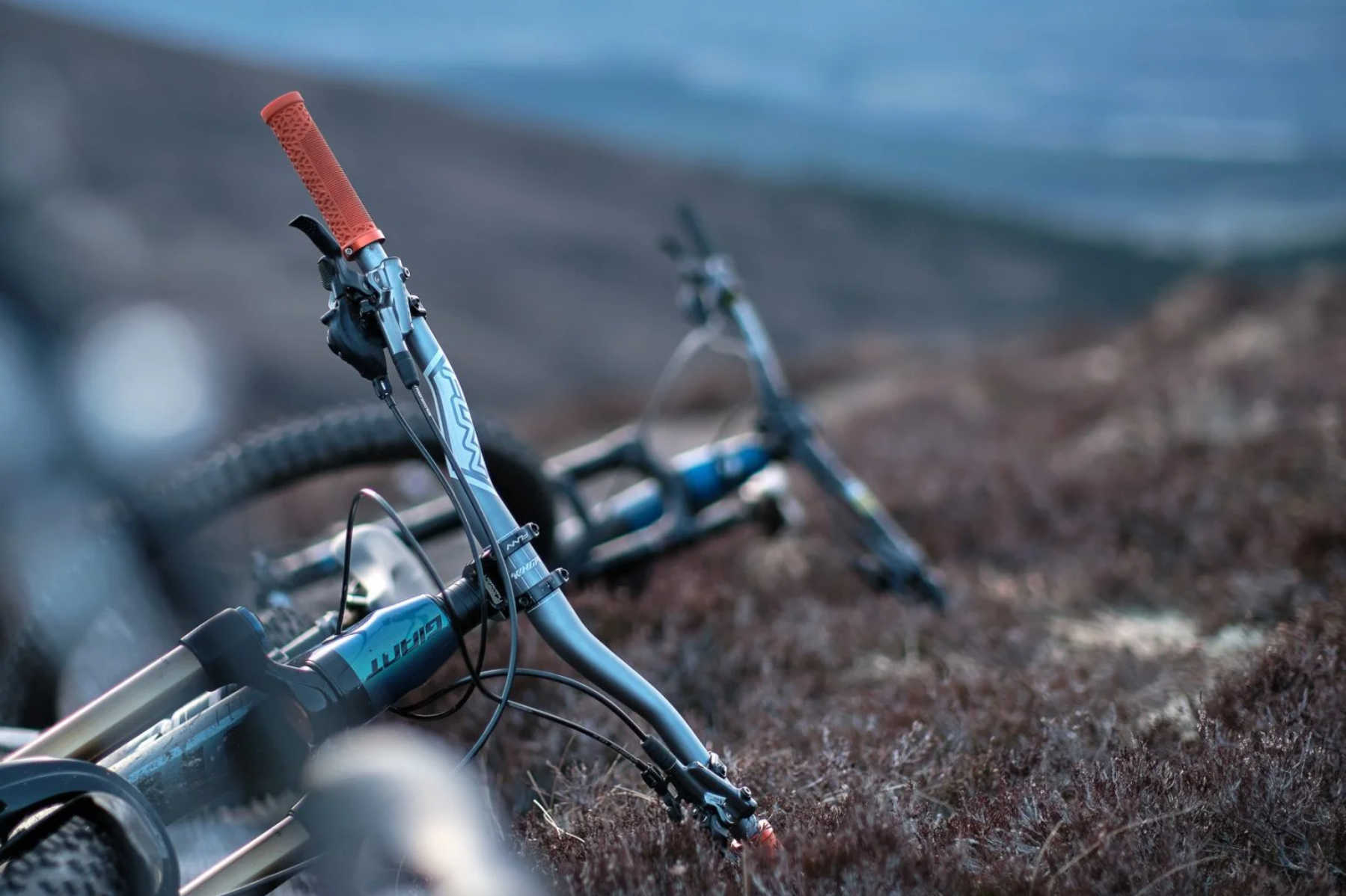 handlebar
