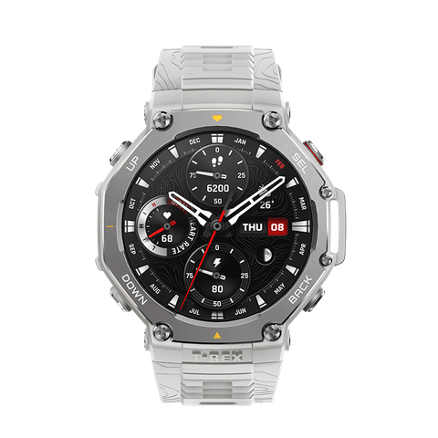 T-REX-3-front-haze-gray