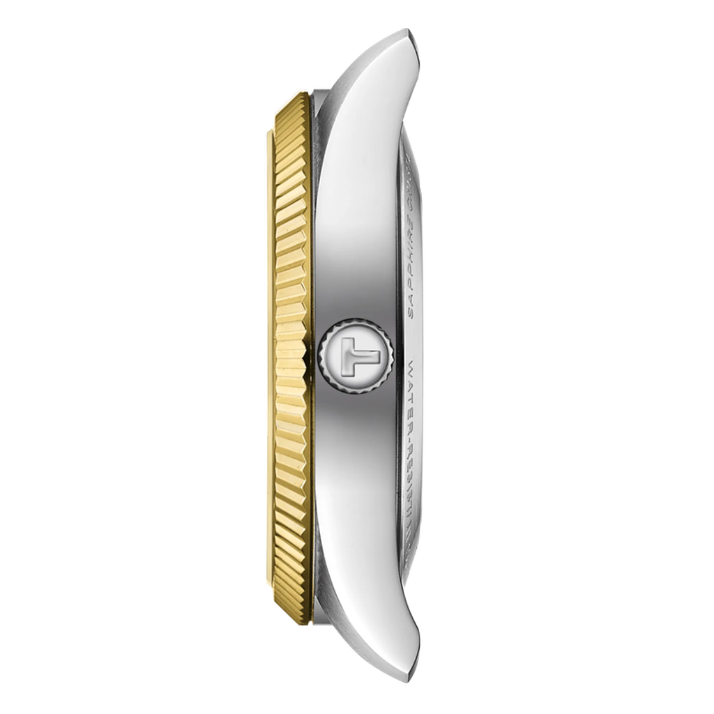 17f5b011-4f83-4428-b6b9-d64268efb9d8_T156-408-22-033-00_PROFIL