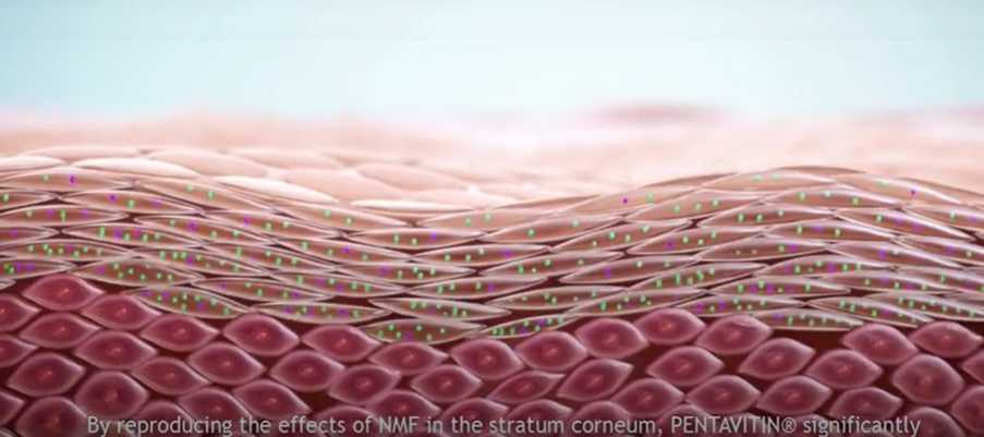 保養品原料來源介紹 Pentavitin 鎖水磁石 Beauty Health