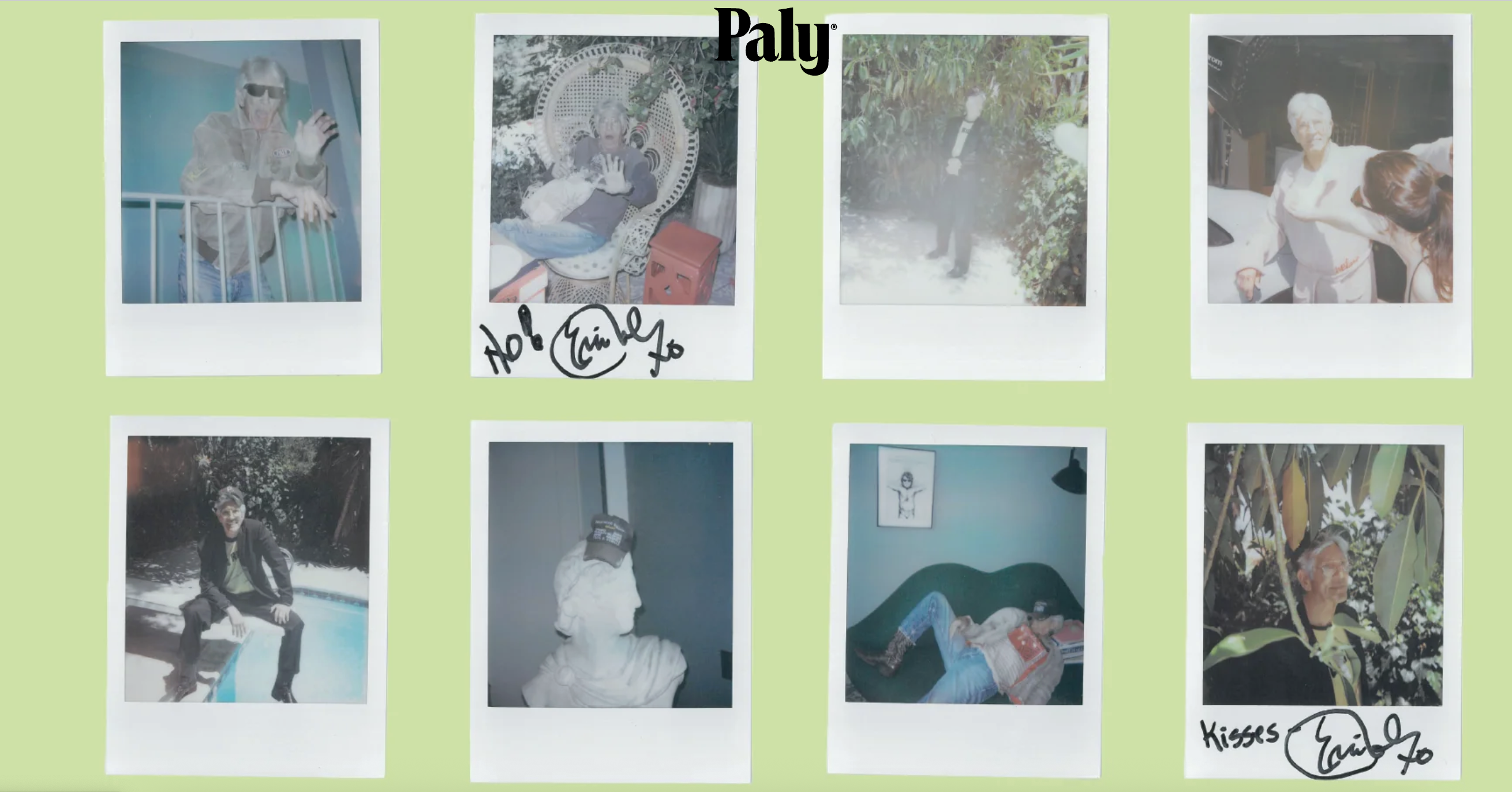 New arrivals : PALY SS26 