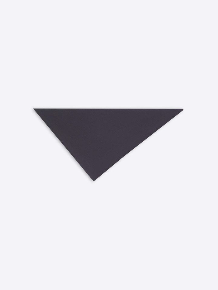 252-021307-2295-511_1.jpg