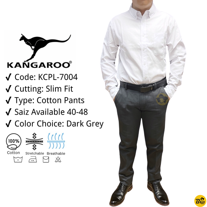 SLIM FIT COTTON PANTS.zip - 2-1728532995046