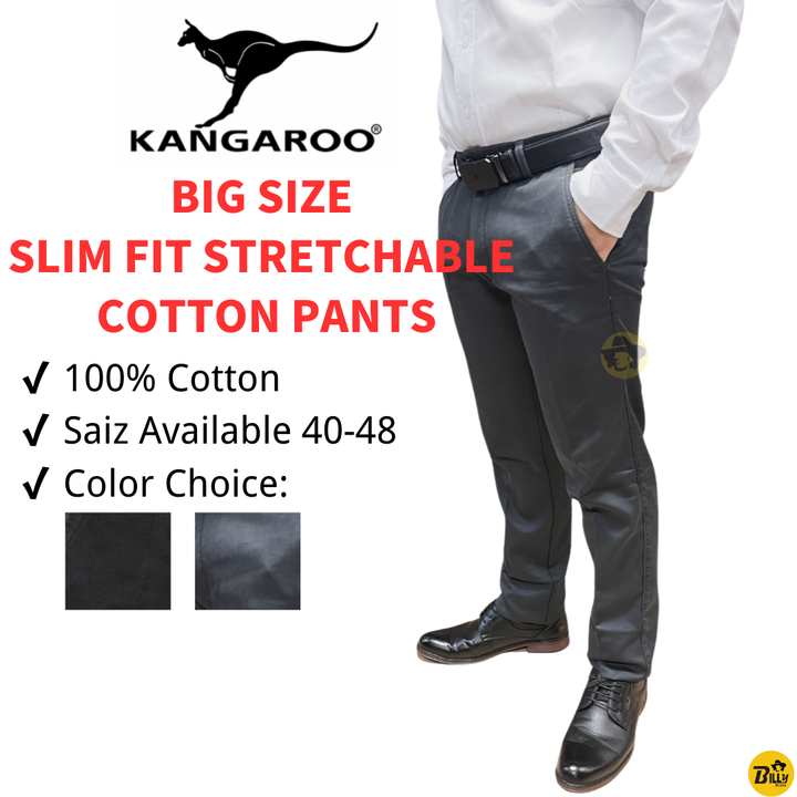 SLIM FIT COTTON PANTS.zip - 1-1728533264736