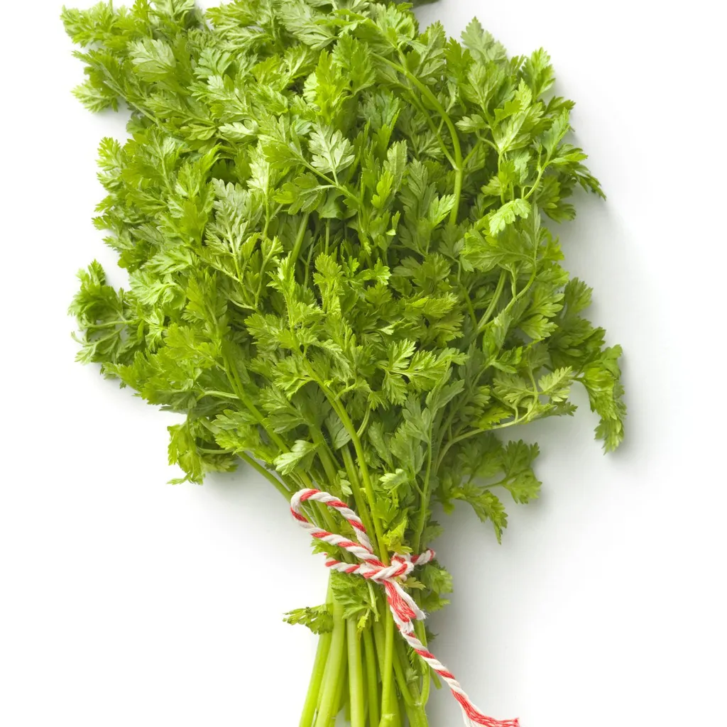 Chervil-GettyImages-183417518-5892639a5f9b5874eeed134f