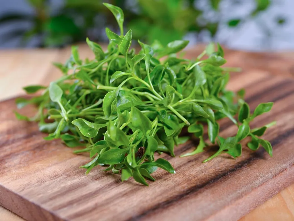 watercress-on-a-chopping-board