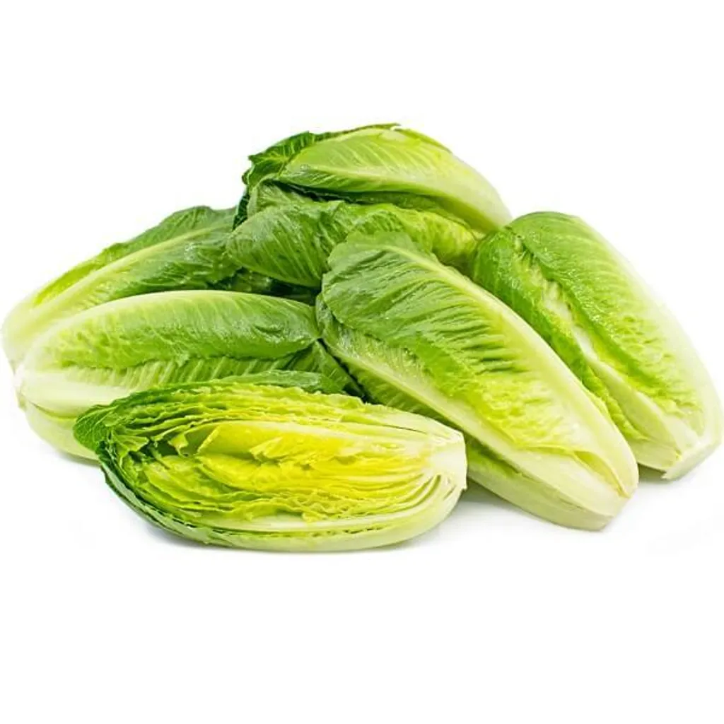 RomaineLettuce