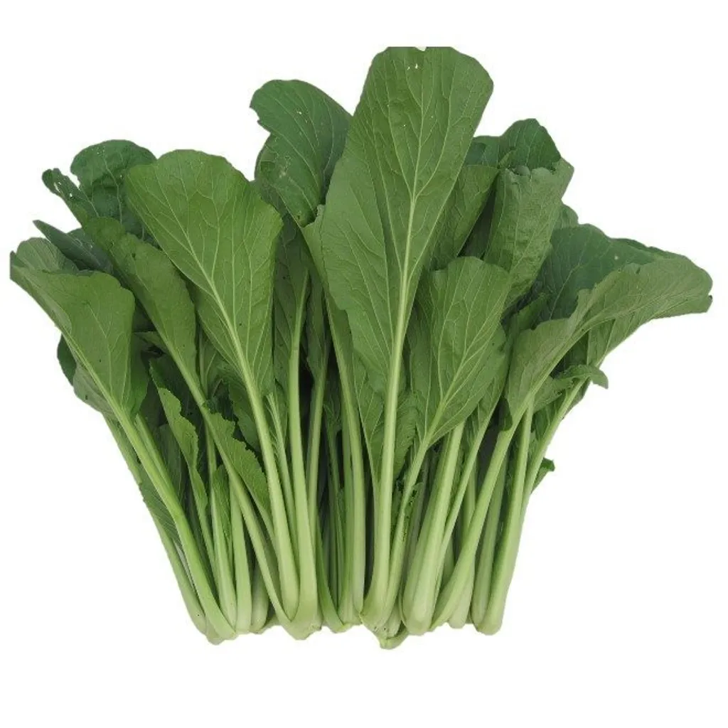 choysum-seeds-s101-custom