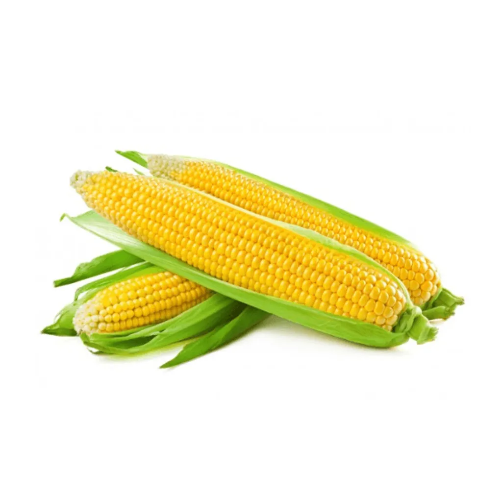 corn