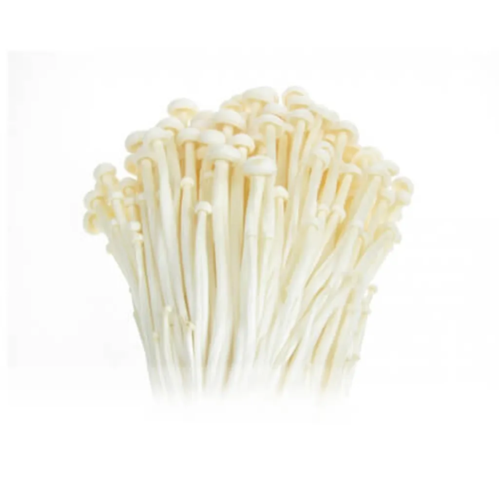 Mushroom_Enoki