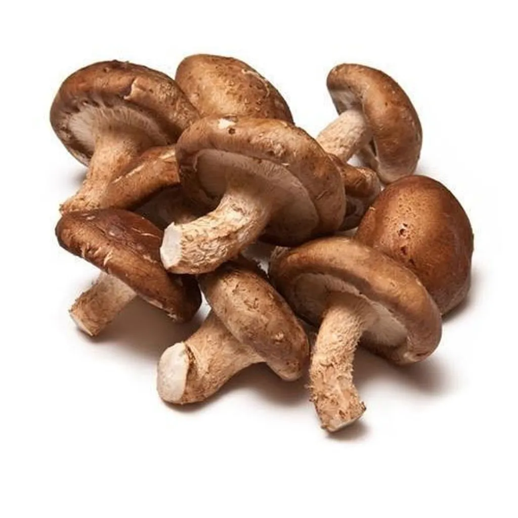 fresh-shiitake-mushroom-500x500