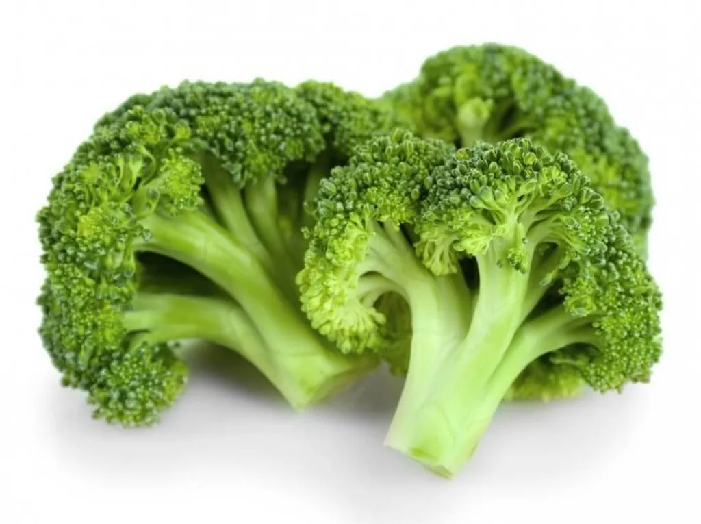 shutterstock_294838064-min-696x520