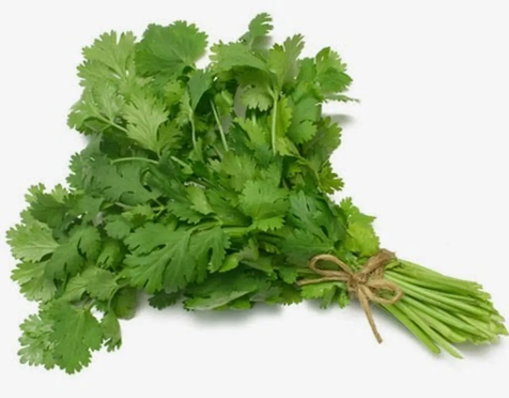coriander-benefits2