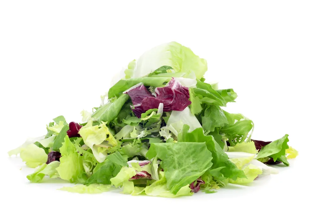 Lettuce_Mesclun_Mixed_Salad