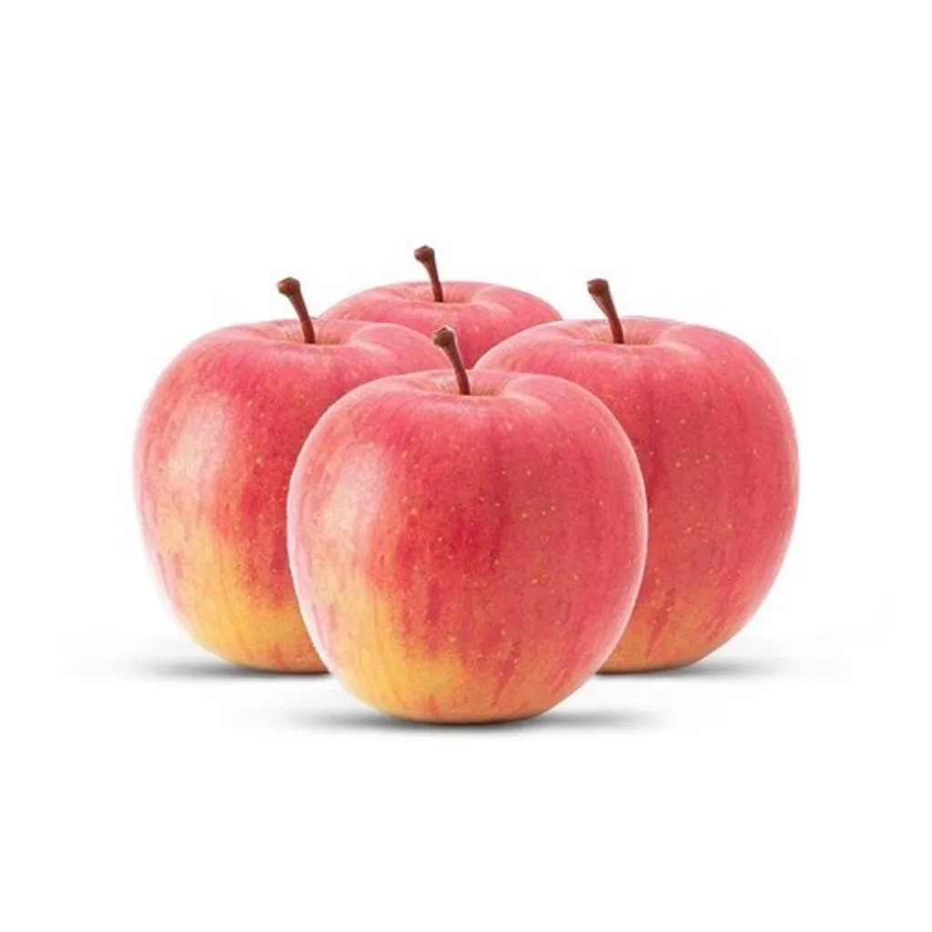 apple-500x500