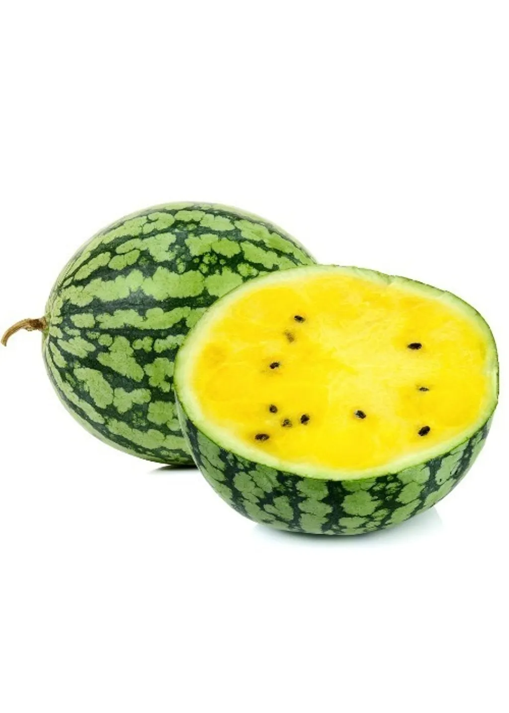 Watermelon-Yellow-SC