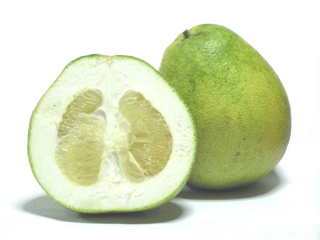 1200px-Citrus_grandis_-_Honey_White
