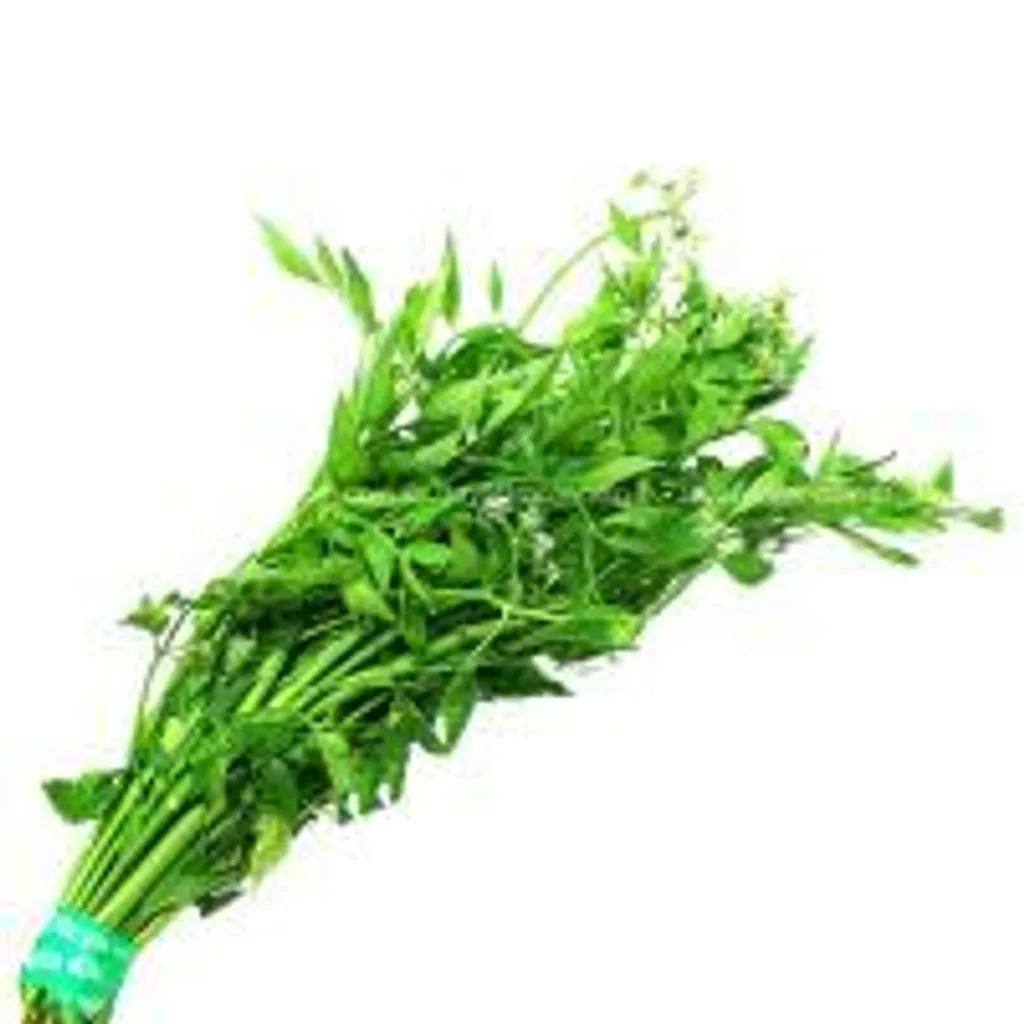 daun-selom-1.jpg