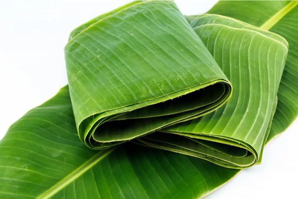 daun-pisang