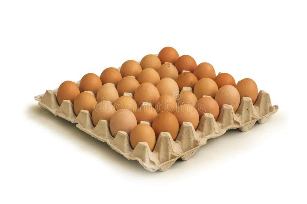 brown-eggs-cardboard-tray-brown-eggs-cardboard-tray-isolated-white-background-110351562