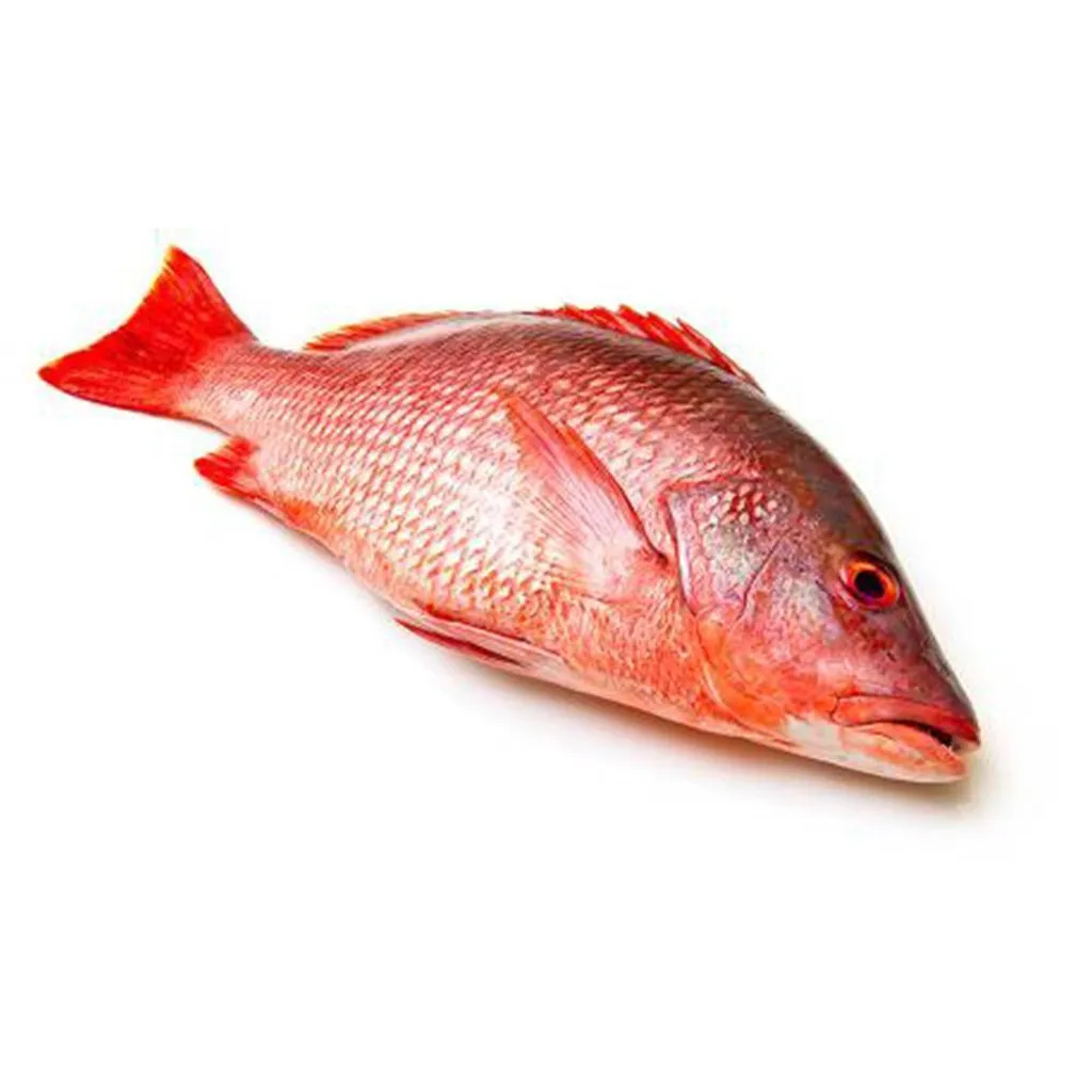 ikan-merah