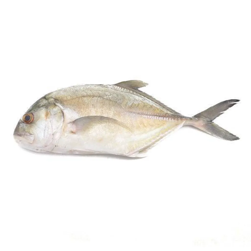 ikan-nyok-nyok