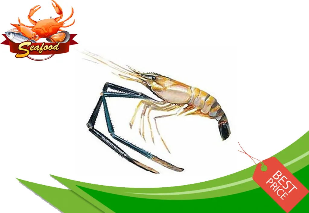 Giant Freshwater Prawn.jpg
