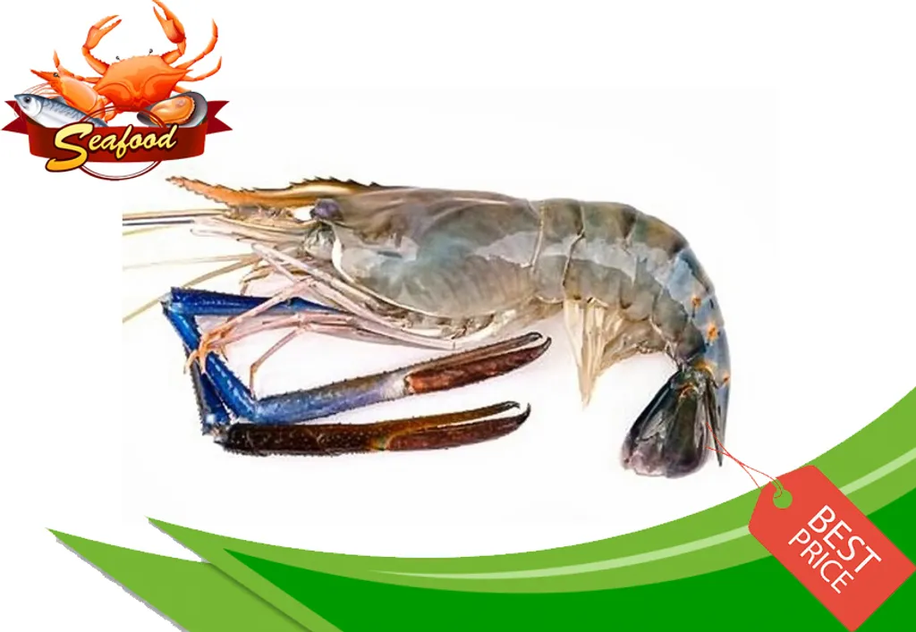 Udang Galah .jpg
