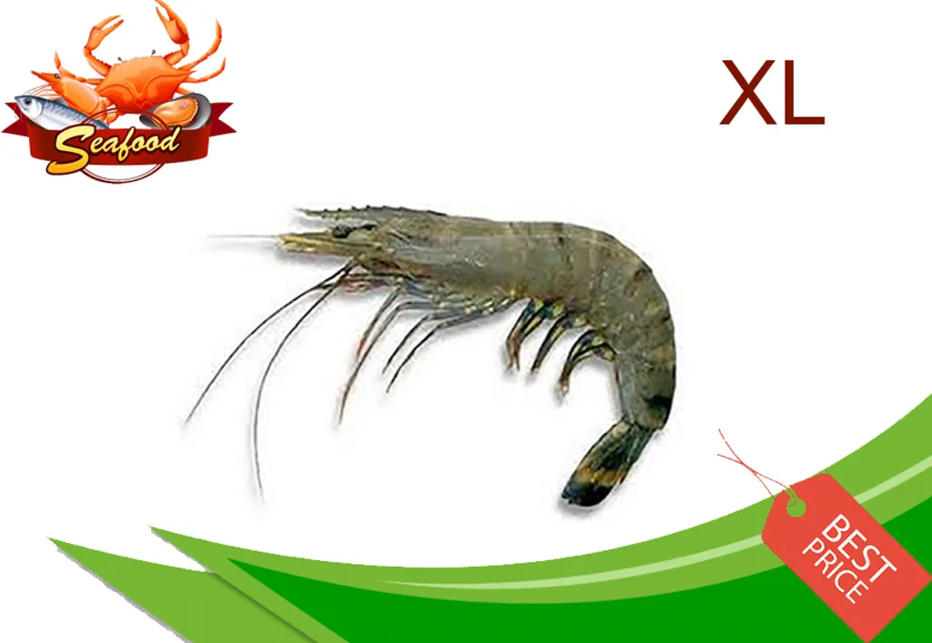 Tiger Prawn XL.jpg