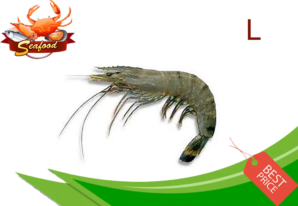 Tiger Prawn L.jpg