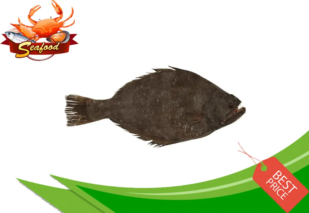 Ikan Sebelah.jpg